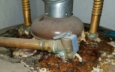 Water Heater: An Annual Inspection Can Eliminate Surprises