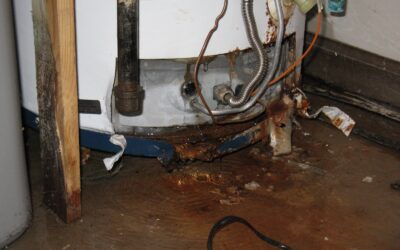 Water Heater Maintenance: The Most Common Problems