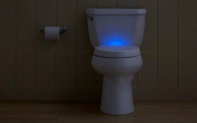 Time For a New Toilet?
