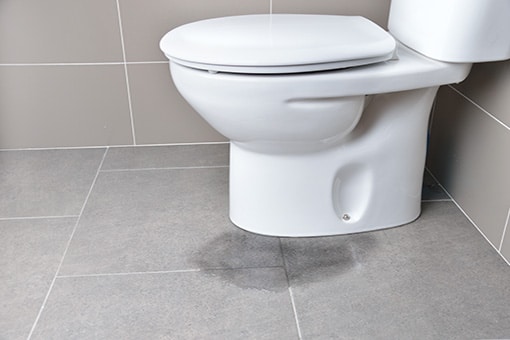 Broken Toilet Up for Toilet Repair by Catasauqua Emergency Plumber