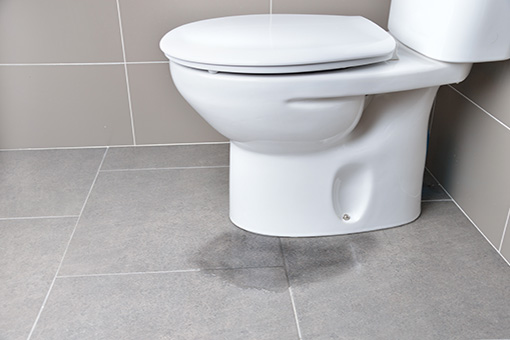 Leaking Toilet in Hellertown Property In Need of Local Emergency Plumber