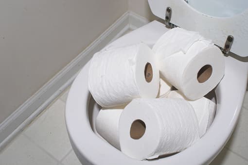 Toilet Bowl Filled With Tissue Paper In Need of Emmaus Repair Plumbers