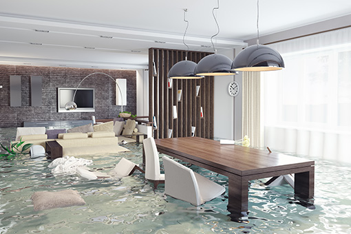 Flooded Coplay House In Need of Emergency Plumber's Service