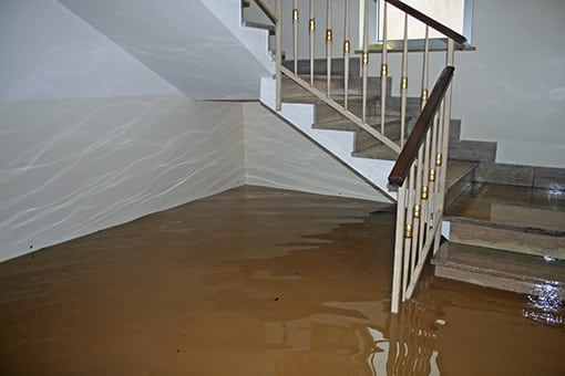 Flooded House in Palmerton Pennsylvania In Need of Emergency Plumber's Service