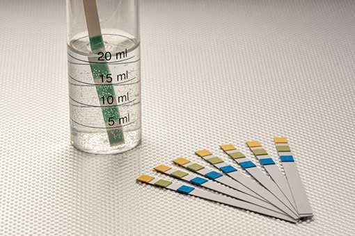 Mineral Content Test Strip Put in a Glass of Soft Water in Wind Gap PA