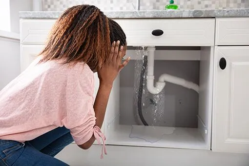 Allentown Woman Thinking of Residential Plumbers That Can Fix Leaks in Her Bethlehem PA Home