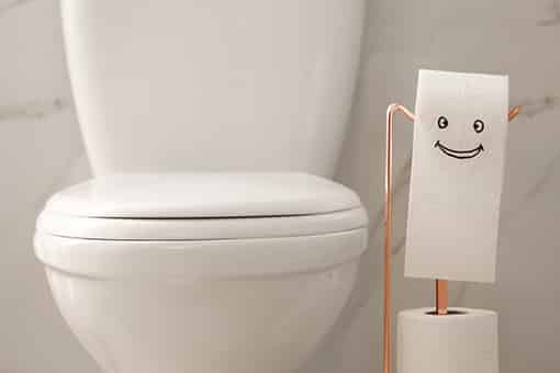 Newly Repaired Toilet in Hellertown Pennsylvania