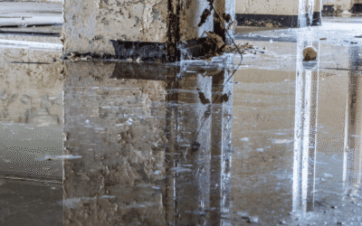 Water Damage Documentation for Commercial Properties