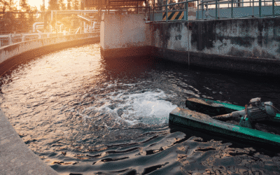 Water Treatment Services When to Add Treatment for Commercial Plumbing Systems